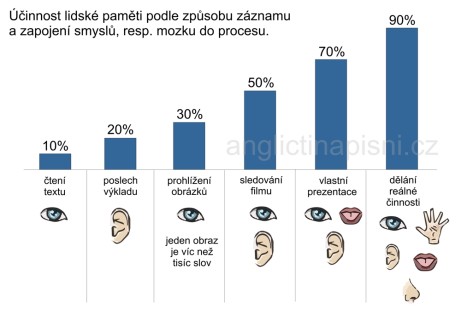 domácí vzdělávání - efektivita učení a metody
