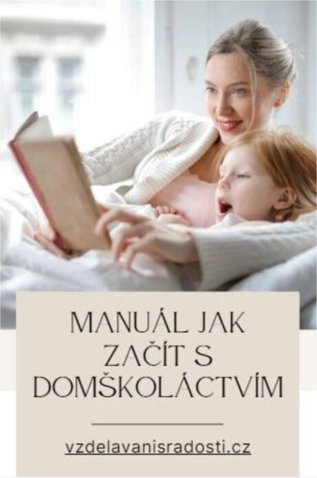 domškolactvi